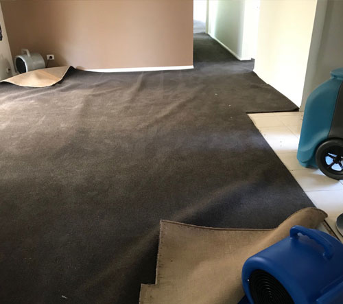 Emergency carpet cleaning service in Melbourne available 24/7 for fast stain and water damage removal