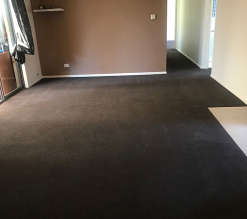 Before and after carpet cleaning showing wet carpet restoration and professional drying results